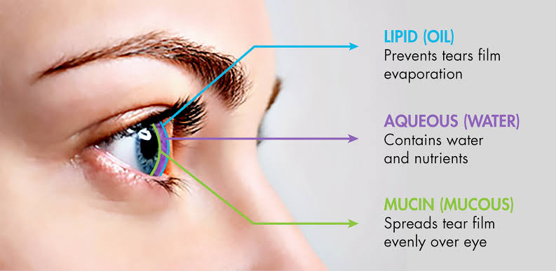 Layers of eye get affected in dry eye problem