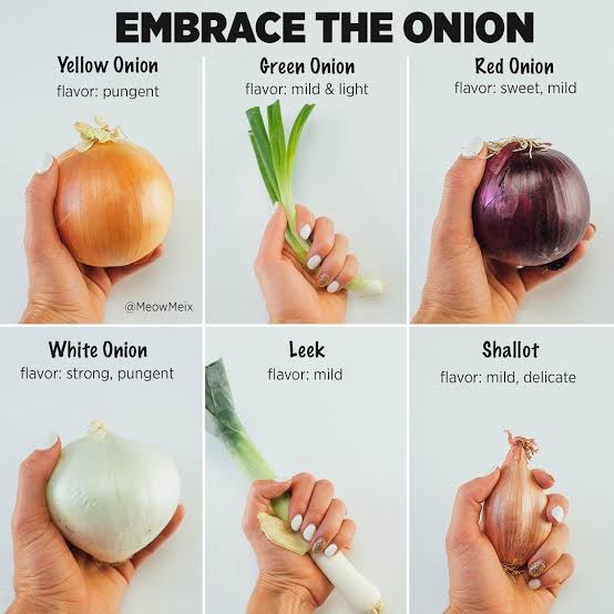 Different varieties of onions 