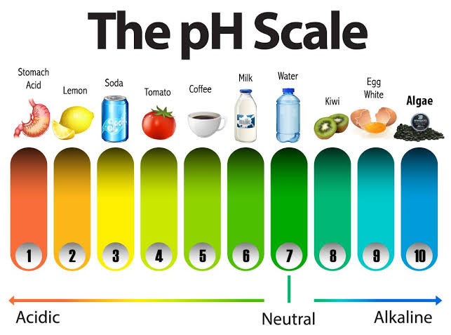 Alkaline or Acidic Foods considering pH scale 