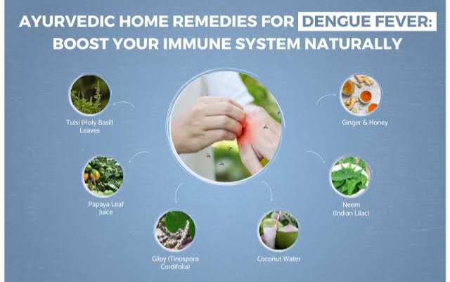 Home Remedies for dengue in children 
