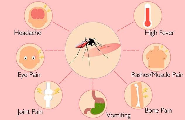 Symptoms of dengue hemorrhagic fever 