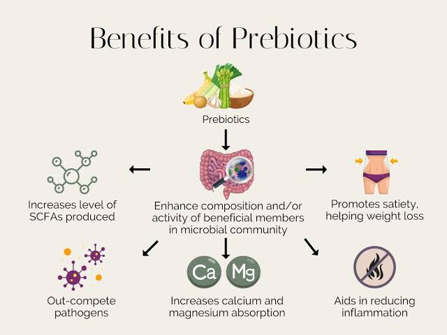 Benefits of Prebiotics 