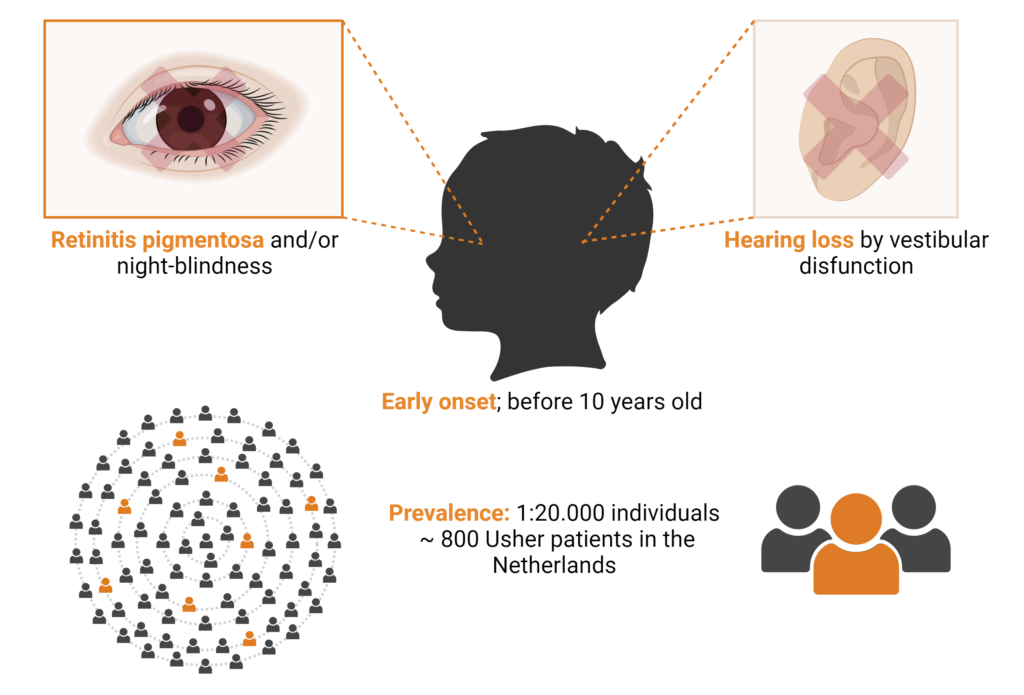 Symptoms of Usher syndrome 