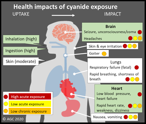 Symptoms of cyanide poisoning 